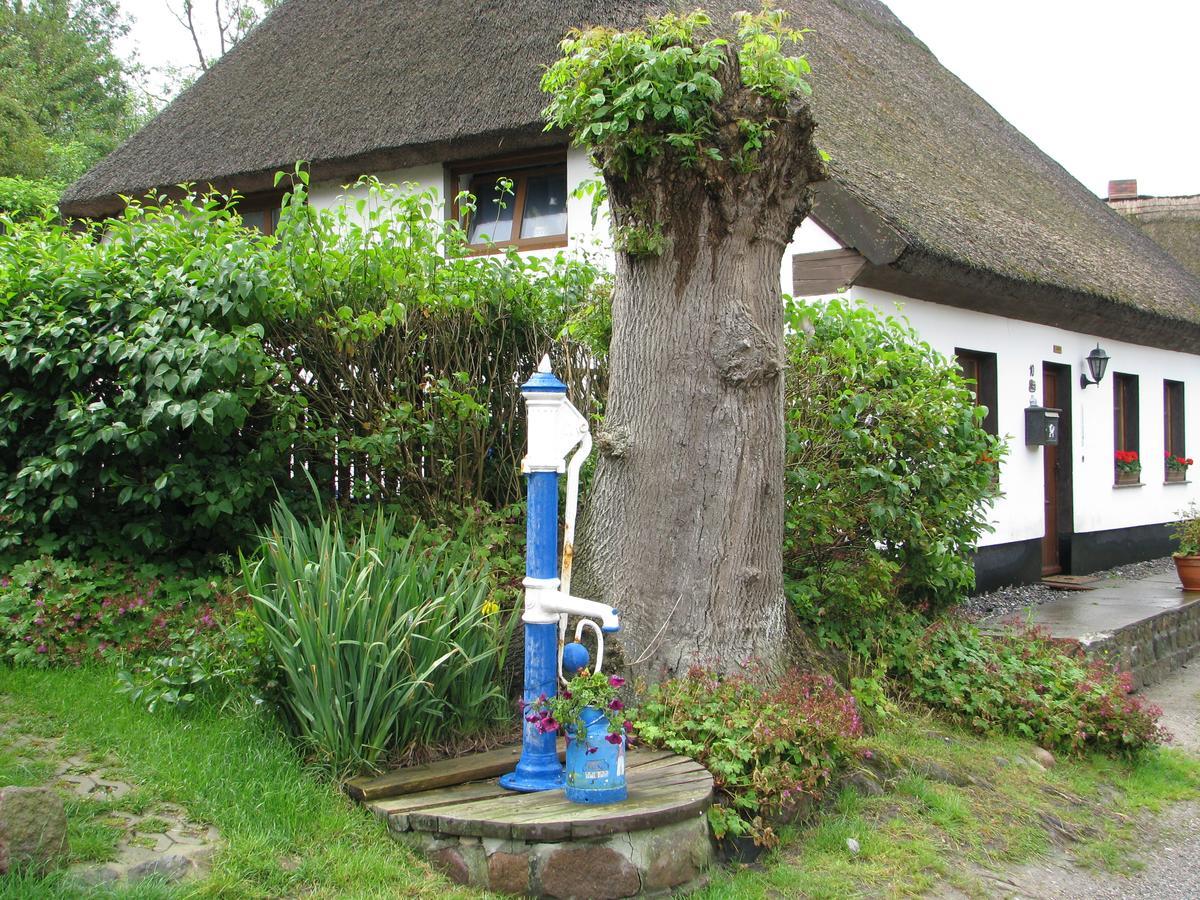 2 Bei Familie Saupe * Schaprode